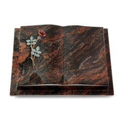 Grabbuch Livre Podest/Aruba Rose 4 (Color)