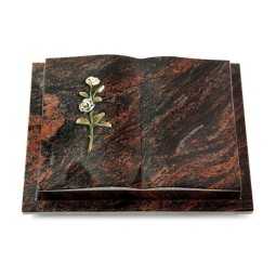 Grabbuch Livre Podest/Aruba Rose 8 (Color)