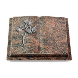 Grabbuch Livre Podest/Himalaya Gingozweig 1 (Alu)