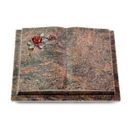 Grabbuch Livre Podest/Himalaya Rose 1 (Color)