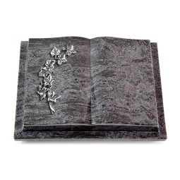 Grabbuch Livre Podest/Orion Efeu (Alu)