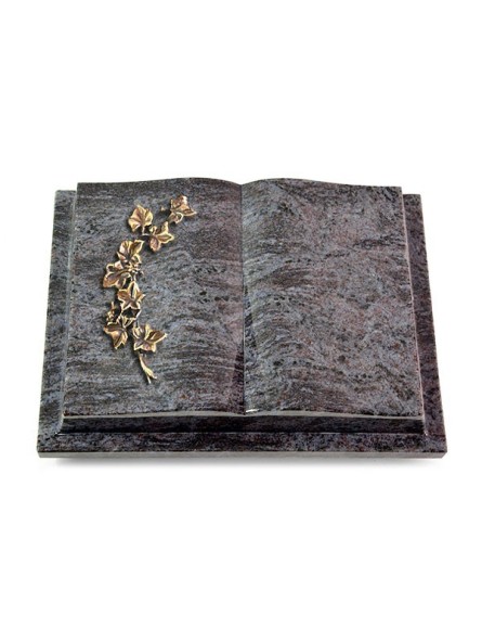 Grabbuch Livre Podest/Orion Efeu (Bronze)
