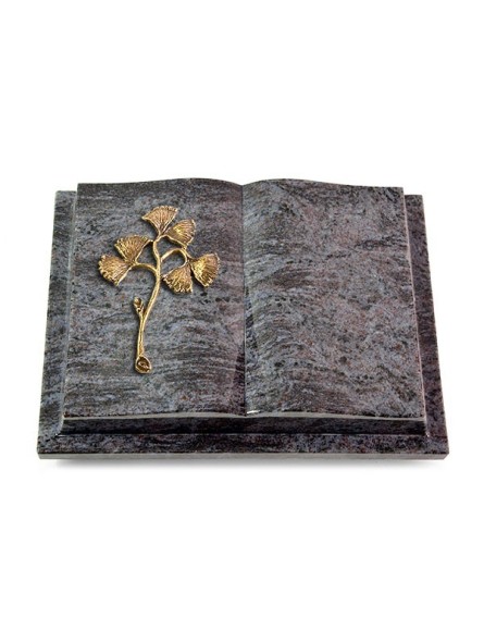 Grabbuch Livre Podest/Orion Gingozweig 1 (Bronze)