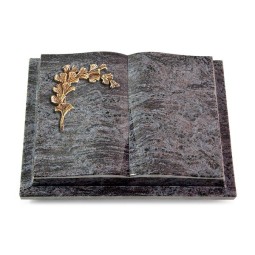 Grabbuch Livre Podest/Orion Gingozweig 2 (Bronze)