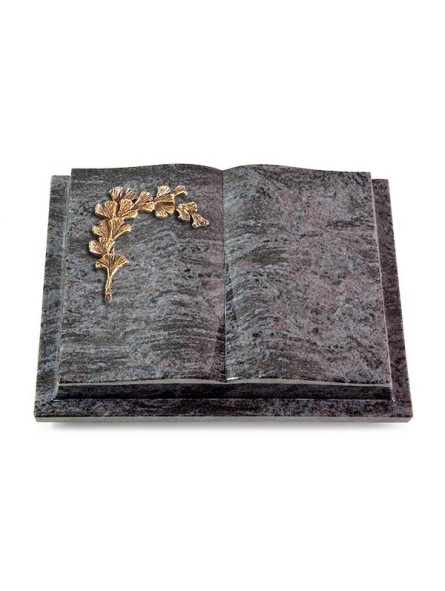 Grabbuch Livre Podest/Orion Gingozweig 2 (Bronze)