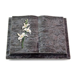 Grabbuch Livre Podest/Orion Orchidee (Color)