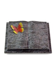 Grabbuch Livre Podest/Orion Papillon 2 (Color)