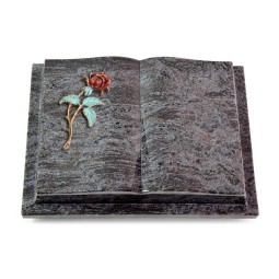 Grabbuch Livre Podest/Orion Rose 2 (Color)