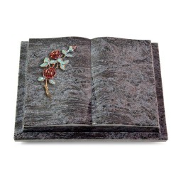 Grabbuch Livre Podest/Orion Rose 3 (Color)