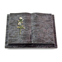 Grabbuch Livre Podest/Orion Rose 8 (Color)