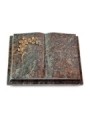 Grabbuch Livre Podest/Paradiso Gingozweig 2 (Bronze)