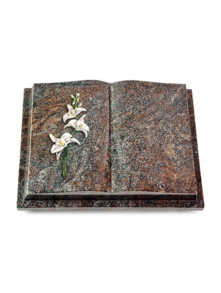 https://www.memorum-grabmale.de/shop/11655-thickbox_default/antiquearuba-ahren-1-alu.jpg