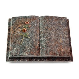 Grabbuch Livre Podest/Paradiso Rose 6 (Color)