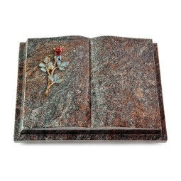 Grabbuch Livre Podest/Paradiso Rose 7 (Color)