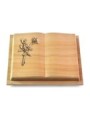 Grabbuch Livre Podest/Woodland Rose 10 (Bronze)