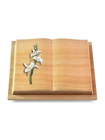 Grabbuch Livre Podest/Woodland Orchidee (Color)