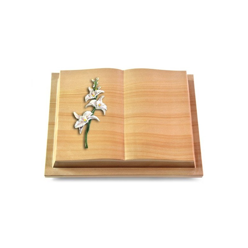Grabbuch Livre Podest/Woodland Orchidee (Color)