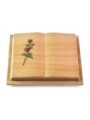 Grabbuch Livre Podest/Woodland Rose 6 (Color)