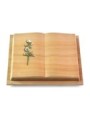 Grabbuch Livre Podest/Woodland Rose 8 (Color)