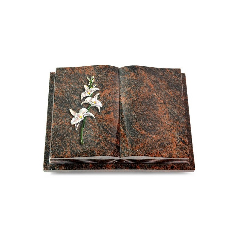 Grabbuch Livre Podest Folia/Aruba Orchidee (Color)