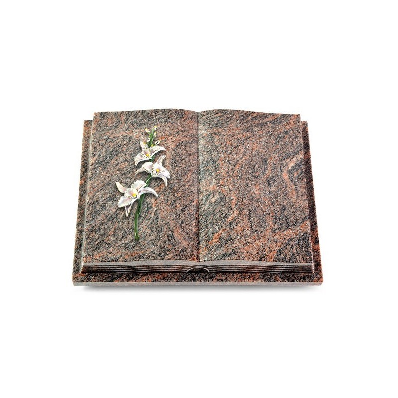 Grabbuch Livre Podest Folia/Himalaya Orchidee (Color)