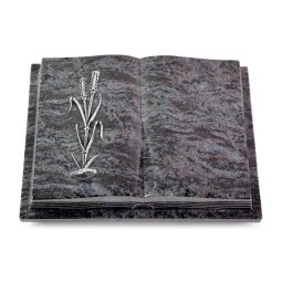 Grabbuch Livre Podest Folia/Orion Ähren 2 (Alu)