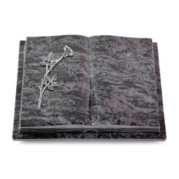 Grabbuch Livre Podest Folia/Orion Rose 9 (Alu)