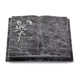 Grabbuch Livre Podest Folia/Orion Rose 10 (Alu)