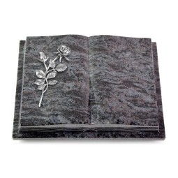 Grabbuch Livre Podest Folia/Orion Rose 13 (Alu)