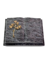 Grabbuch Livre Podest Folia/Orion Gingozweig 1 (Bronze)