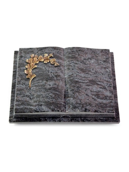 Grabbuch Livre Podest Folia/Orion Gingozweig 2 (Bronze)