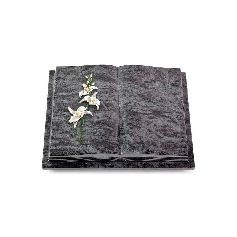 Grabbuch Livre Podest Folia/Orion Orchidee (Color)