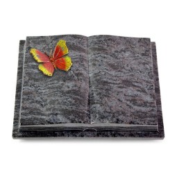 Grabbuch Livre Podest Folia/Orion Papillon 2 (Color)