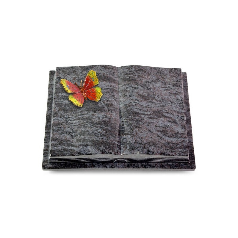 Grabbuch Livre Podest Folia/Orion Papillon 2 (Color)