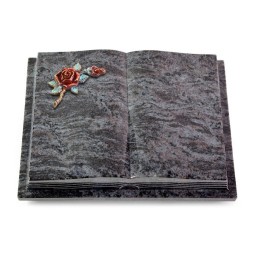 Grabbuch Livre Podest Folia/Orion Rose 1 (Color)