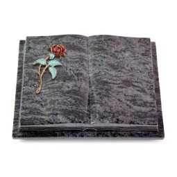 Grabbuch Livre Podest Folia/Orion Rose 2 (Color)