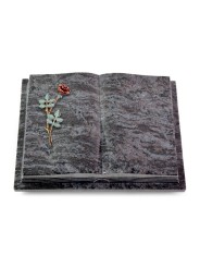 Grabbuch Livre Podest Folia/Orion Rose 4 (Color)