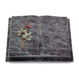 Grabbuch Livre Podest Folia/Orion Rose 5 (Color)