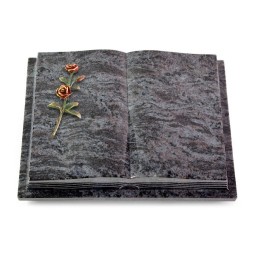 Grabbuch Livre Podest Folia/Orion Rose 6 (Color)