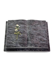 Grabbuch Livre Podest Folia/Orion Rose 8 (Color)