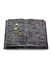 Grabbuch Livre Podest Folia/Orion Rose 8 (Color)