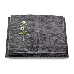 Grabbuch Livre Podest Folia/Orion Rose 8 (Color)