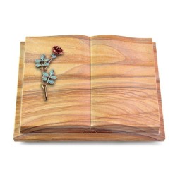 Grabbuch Livre Podest Folia/Rainbow Rose 4 (Color)