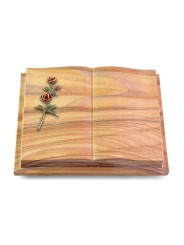 Grabbuch Livre Podest Folia/Rainbow Rose 6 (Color)