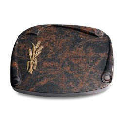 Grabbuch Papyros/Aruba Ähren 1 (Bronze)