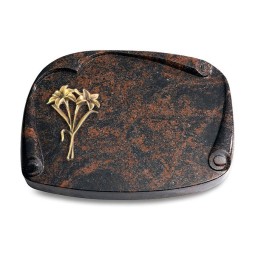 Grabbuch Papyros/Aruba Lilie (Bronze)