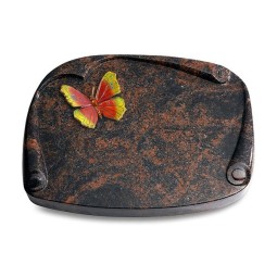 Grabbuch Papyros/Aruba Papillon 2 (Color)