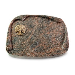 Grabbuch Papyros/Himalaya Baum 3 (Bronze)