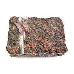Grabplatte Himalaya Strikt Papillon 1 (Color)