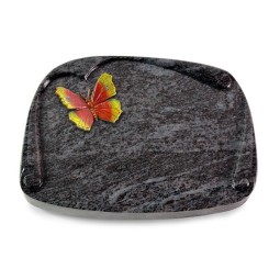 Grabbuch Papyros/Orion Papillon 2 (Color)